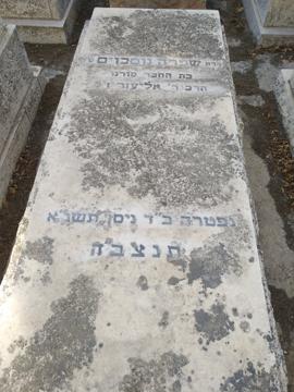 תמונת מצבה