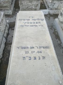 תמונת מצבה