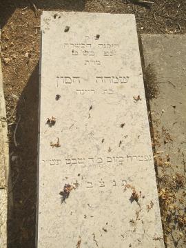 תמונת מצבה