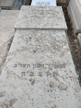 תמונת מצבה