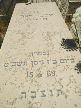 תמונת מצבה