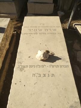 תמונת מצבה