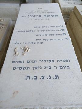 תמונת מצבה