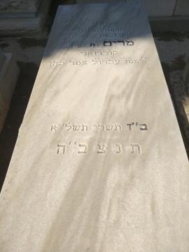 תמונת מצבה