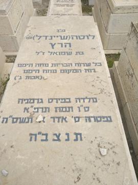 תמונת מצבה