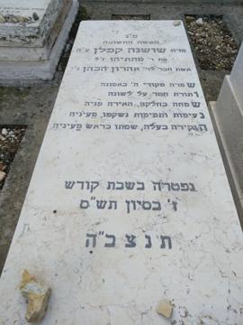 תמונת מצבה