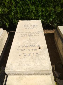 תמונת מצבה