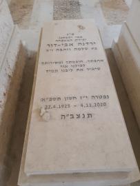 תמונת מצבה