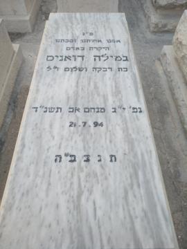 תמונת מצבה