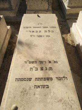 תמונת מצבה
