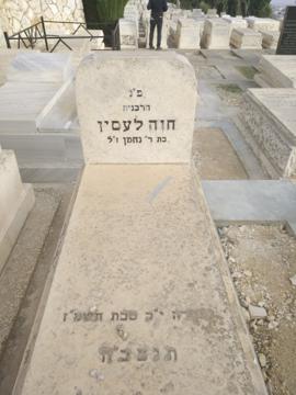 תמונת מצבה