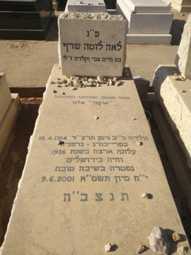 תמונת מצבה