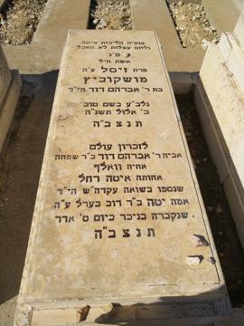 תמונת מצבה