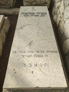תמונת מצבה