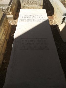 תמונת מצבה