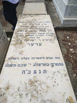 תמונת מצבה