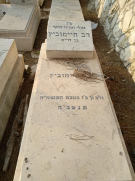 תמונת מצבה