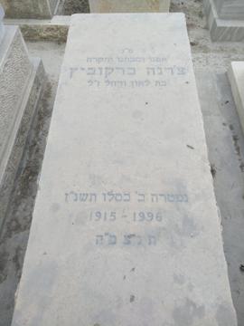 תמונת מצבה