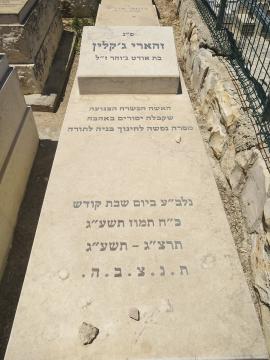 תמונת מצבה