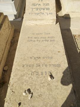 תמונת מצבה