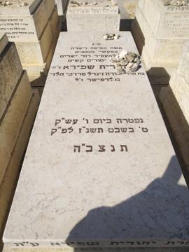 תמונת מצבה
