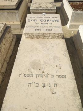 תמונת מצבה