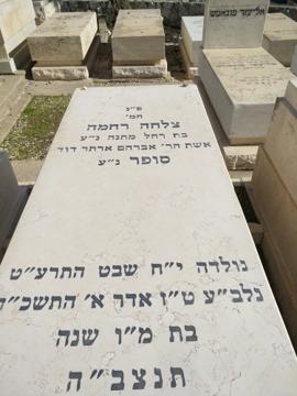 תמונת מצבה