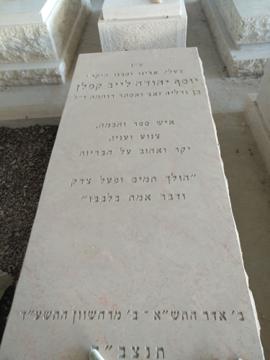תמונת מצבה