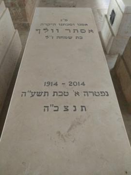 תמונת מצבה
