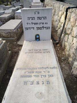 תמונת מצבה