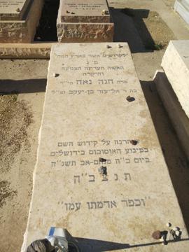 תמונת מצבה