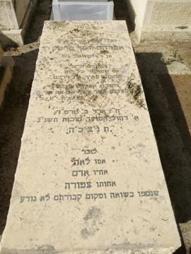 תמונת מצבה