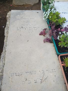 תמונת מצבה