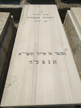 תמונת מצבה