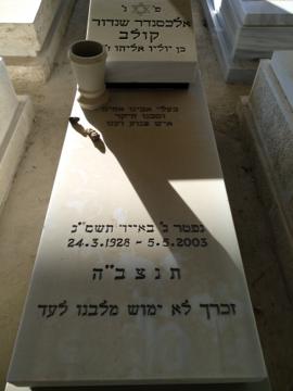 תמונת מצבה