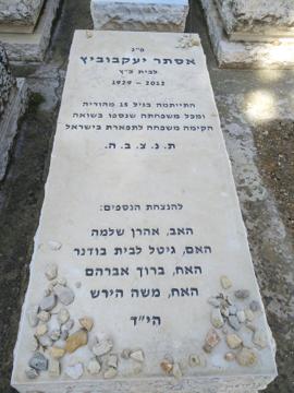 תמונת מצבה