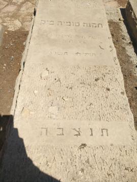 תמונת מצבה