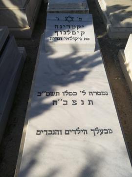תמונת מצבה