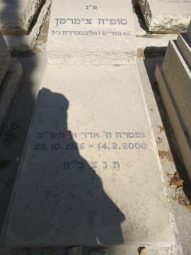 תמונת מצבה
