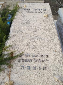 תמונת מצבה