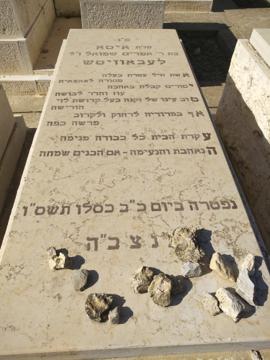 תמונת מצבה