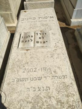 תמונת מצבה