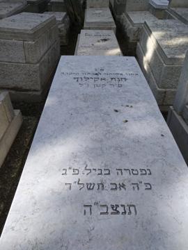 תמונת מצבה