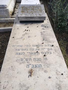 תמונת מצבה
