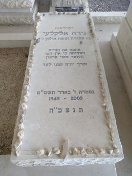 תמונת מצבה