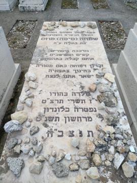 תמונת מצבה