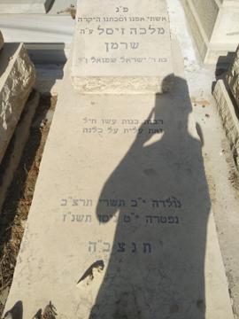 תמונת מצבה