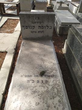 תמונת מצבה