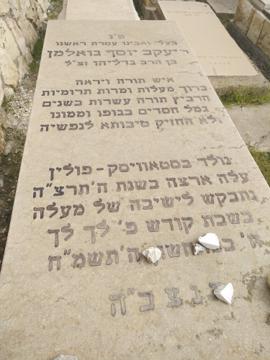 תמונת מצבה