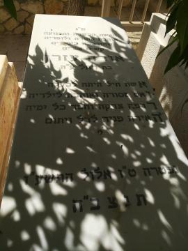 תמונת מצבה